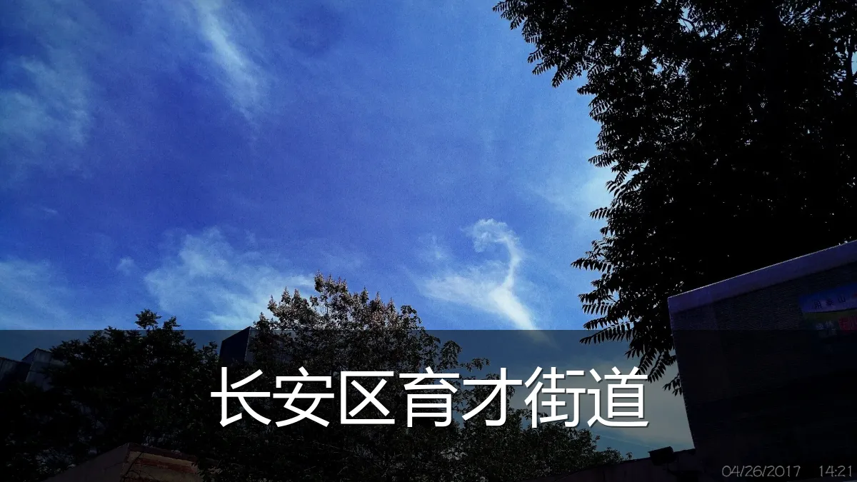 长安区育才街道